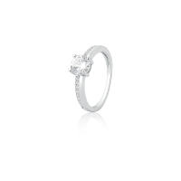 0116094100043