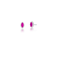 023677616040