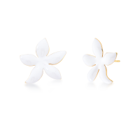 023732606016