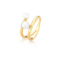 0106010900062