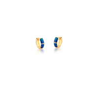 02060132010581
