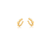 2906013100001