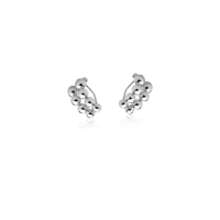 2909013100002