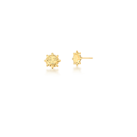 0206019900449