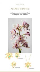 Flores-Eternas-03