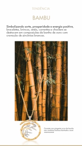 Bambu-02