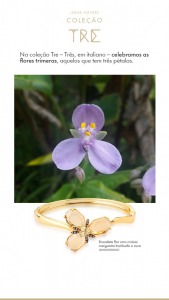 Flores-Eternas-02
