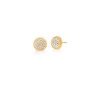 0206053100014
