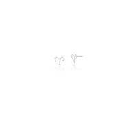 01-Aries-0219019900142